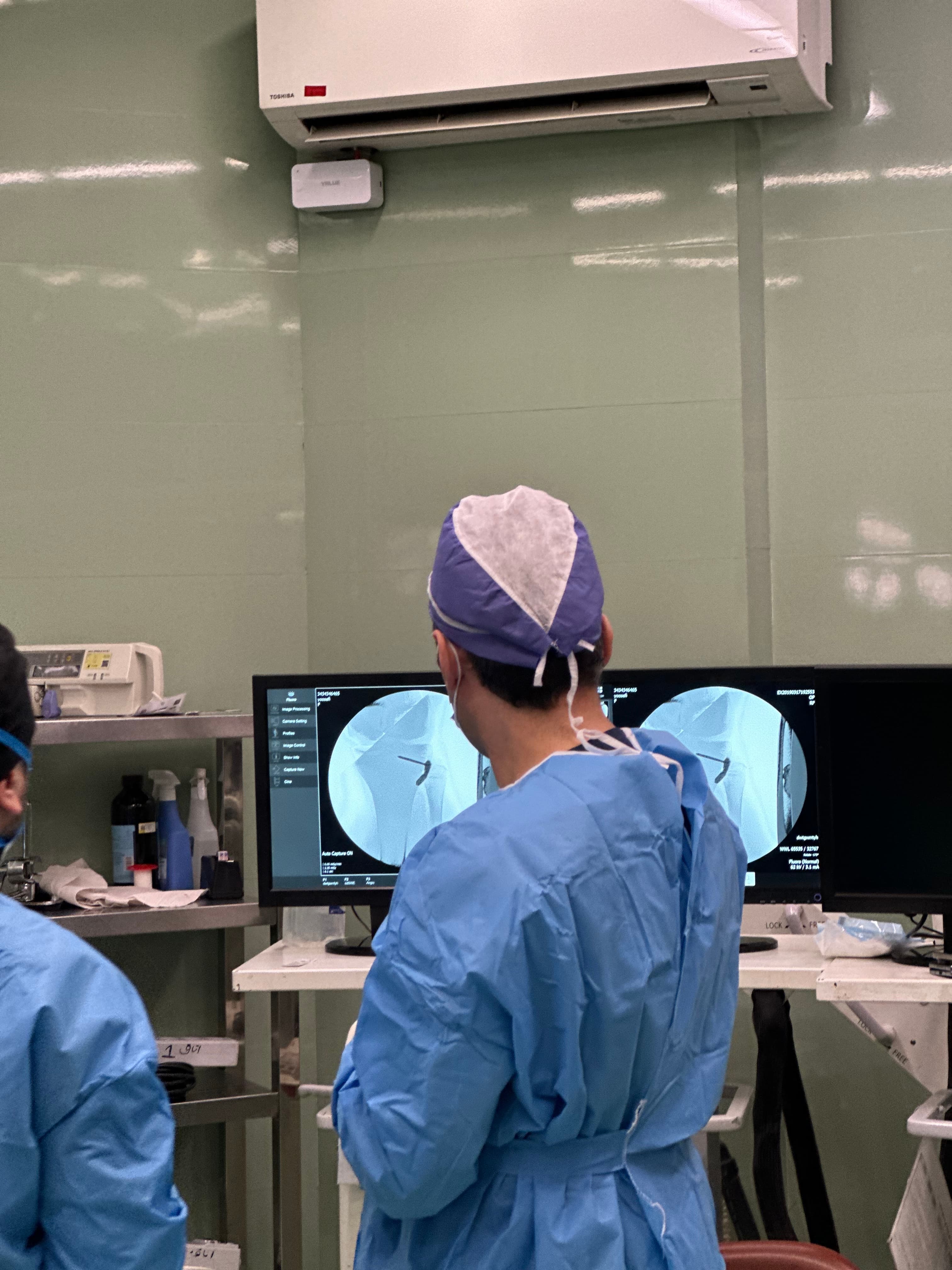 گالری - IMG_4408.JPG